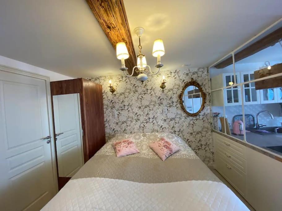 Ravissant Shabby Chic Au Centre De Metz公寓 外观 照片