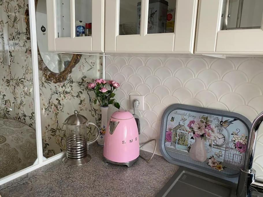 Ravissant Shabby Chic Au Centre De Metz公寓 外观 照片